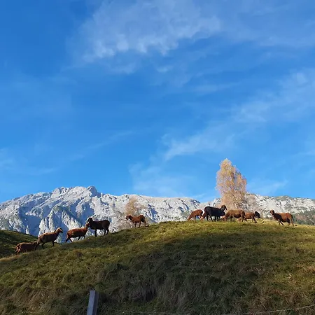 Pulvererhof Apartment Gnadenwald