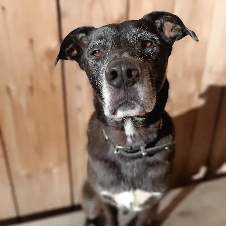 Pulvererhof * גנאדנוואלד